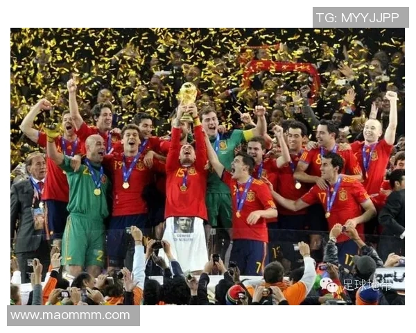 南京足球队总决赛表现分析：经验与战术的完美结合